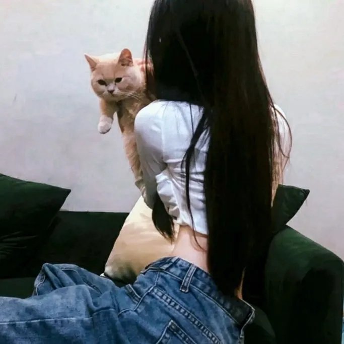 夫人哪里跑